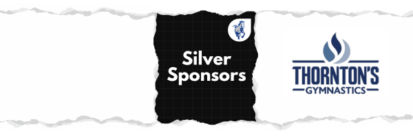Sponsor Website Silver Banner 2