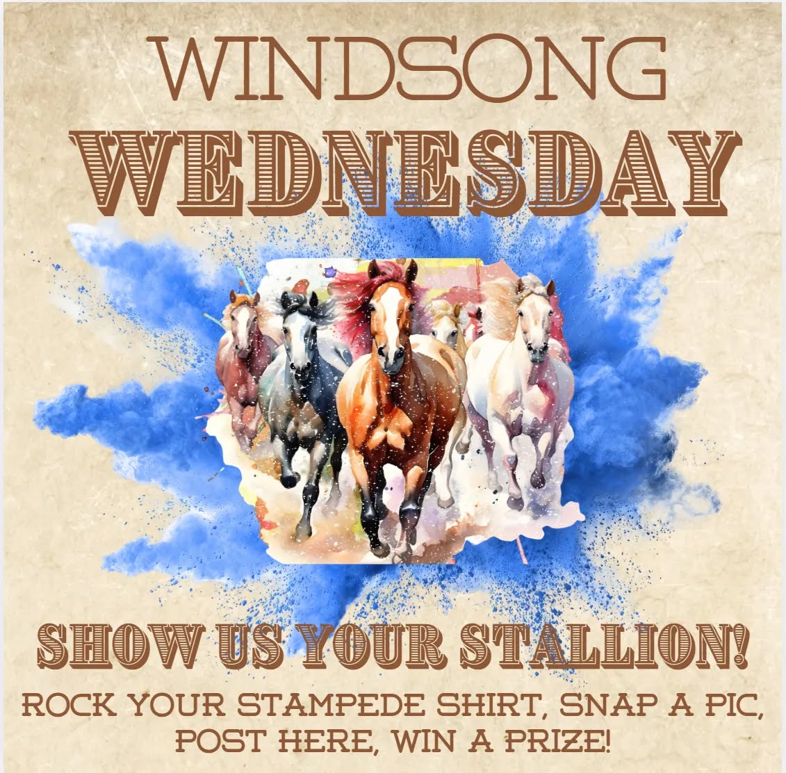 634753676_1495407545311701_5014224855526117479_n